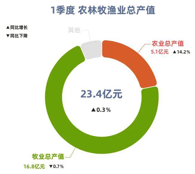 总量是反映整个社会经济活动状态_社会实践活动照片