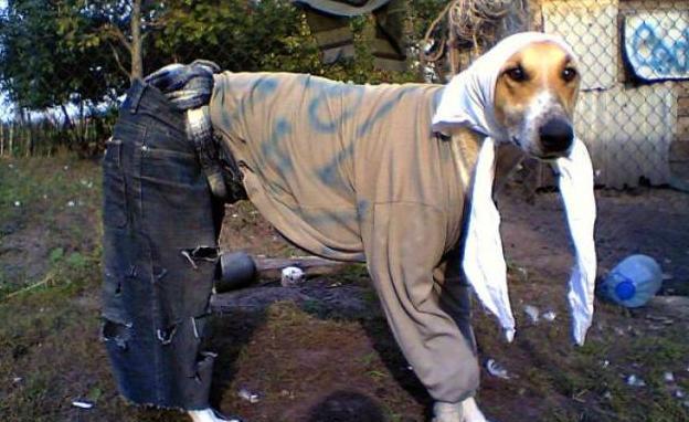 美女放屁猜成语_看图猜成语(3)