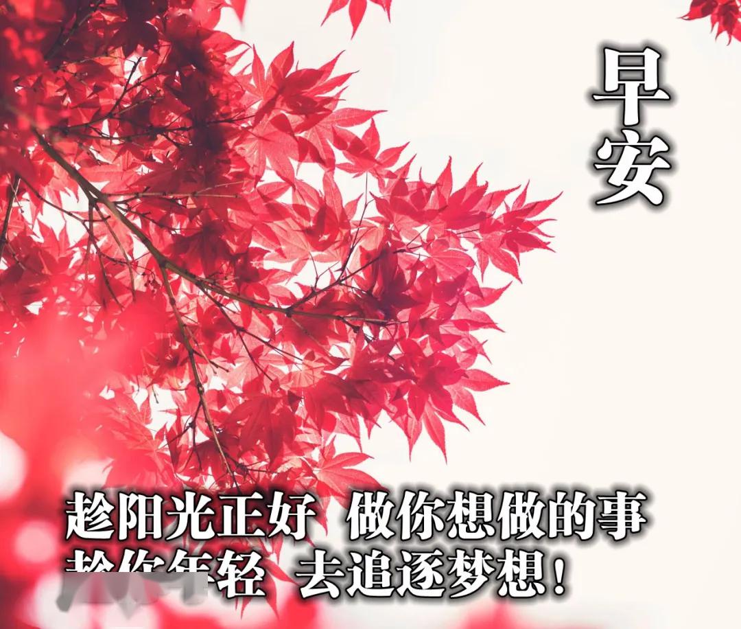 大家早上好图片新款 65bebbfa03c1451993fe20b757121a32.jpeg