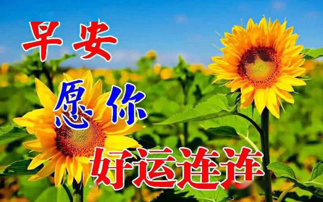 什么是好的人生态度 66364200c92c4a22a8e349f393dd5cbe.jpeg