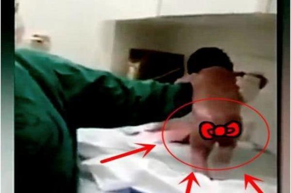 「宝宝」脐带没剪断站起来就要跑，医生差一点没抓住最强新生婴儿”