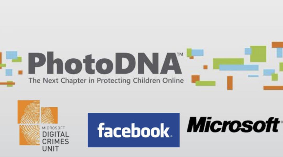 从N号房到鲍毓明，各国是怎样对待儿童色情制品的？