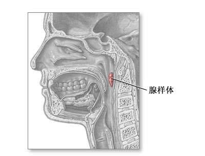 [宝宝护理] 孩子腺样体肥大的原因和调理方法——九珍扶子汤