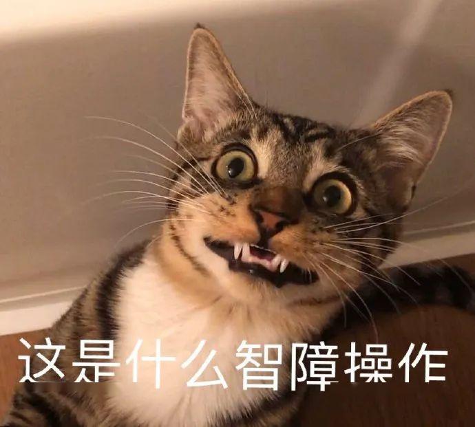 70888fd2f7a34011a95dd20fbdadcb2f.jpeg