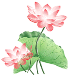 吃温胆汤拉肚子怎么治