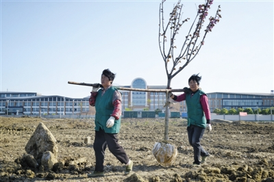 最高法裁定提审“常州毒地案”