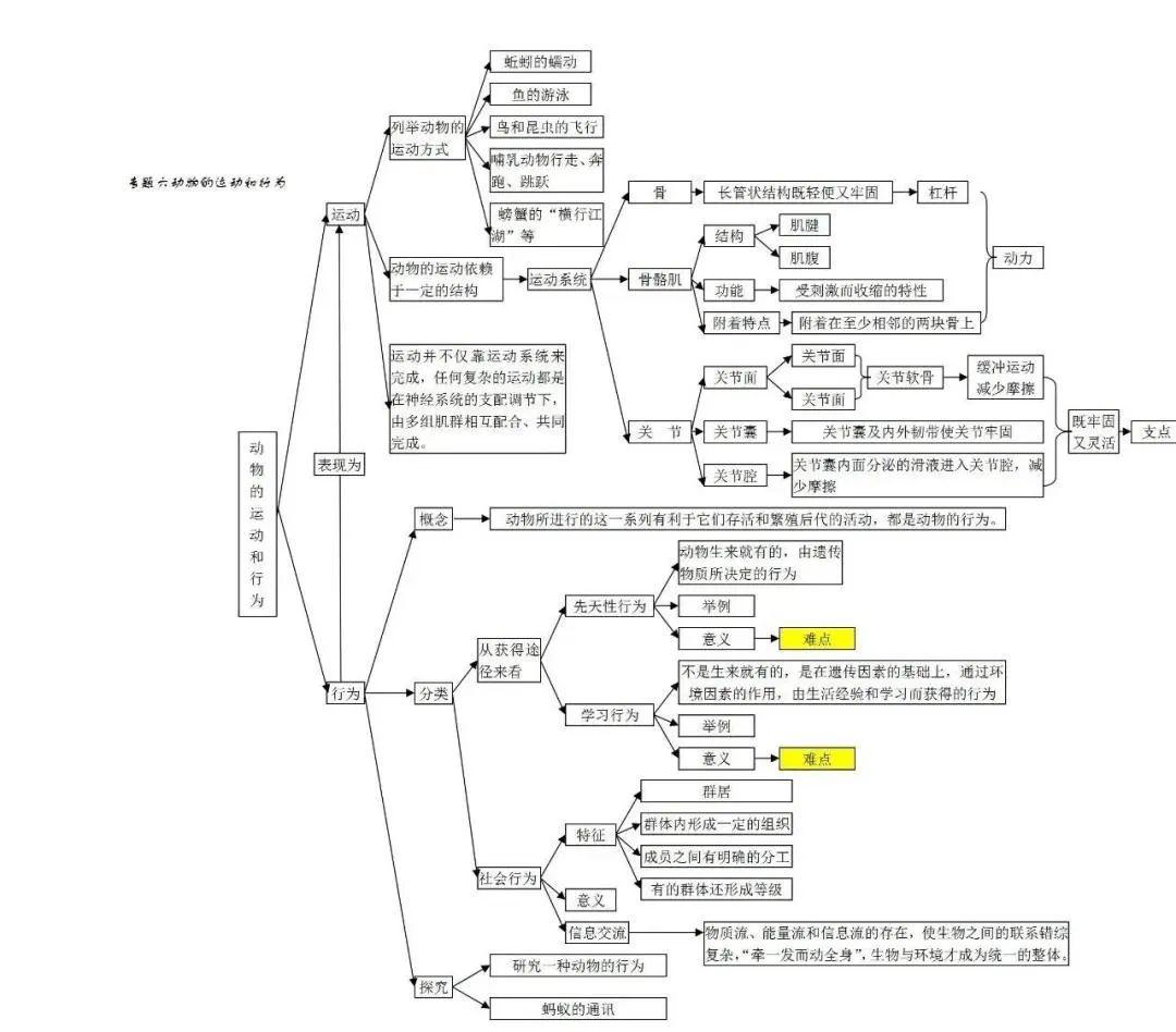 初中生物|思维导图简洁版