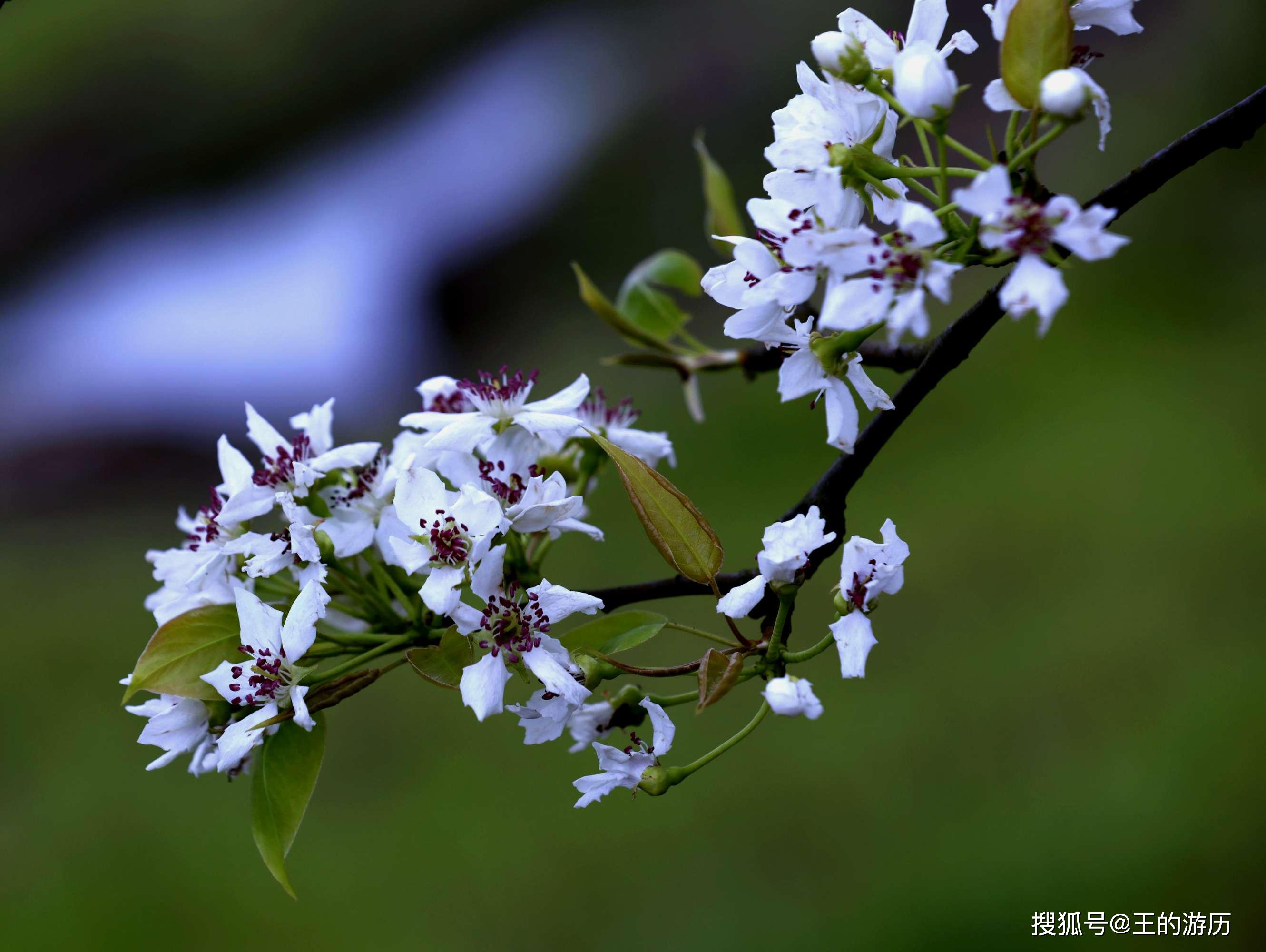 图片来自网络,版权归原作者所有