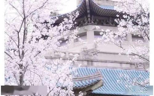 #考生#速看！武汉大学、山东大学、兰州大学强基计划公布