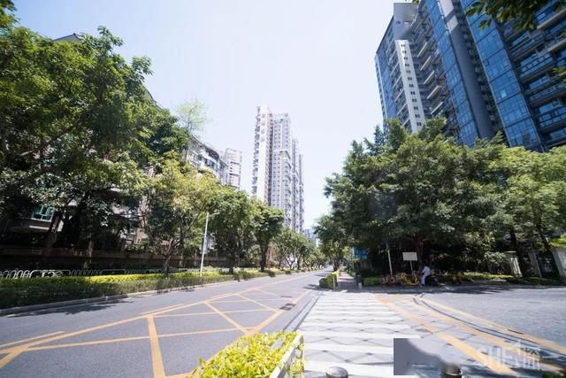 西丽人口数_西丽生态公园(2)