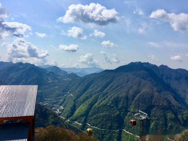 可以计划来赏杜鹃花了哦~来源:汉中龙头山国际旅游度假区s如有侵权,请