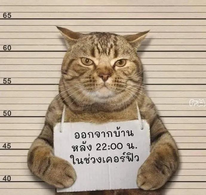 933cc21ac8cb44d89afda0ca4bfa4e3c.JPG