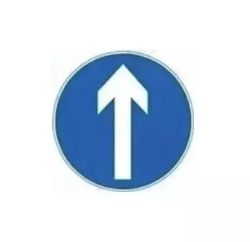 此标志设在单行路的路口和入口处的适当位置.