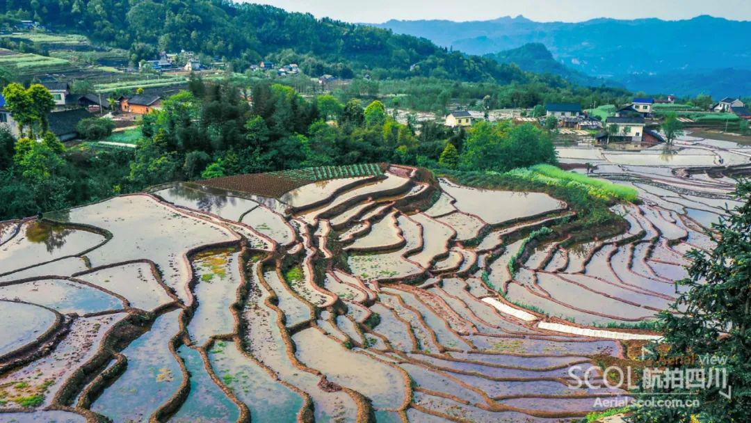 大美乐山|航拍四峨山梯田 移步换景享受视觉盛宴