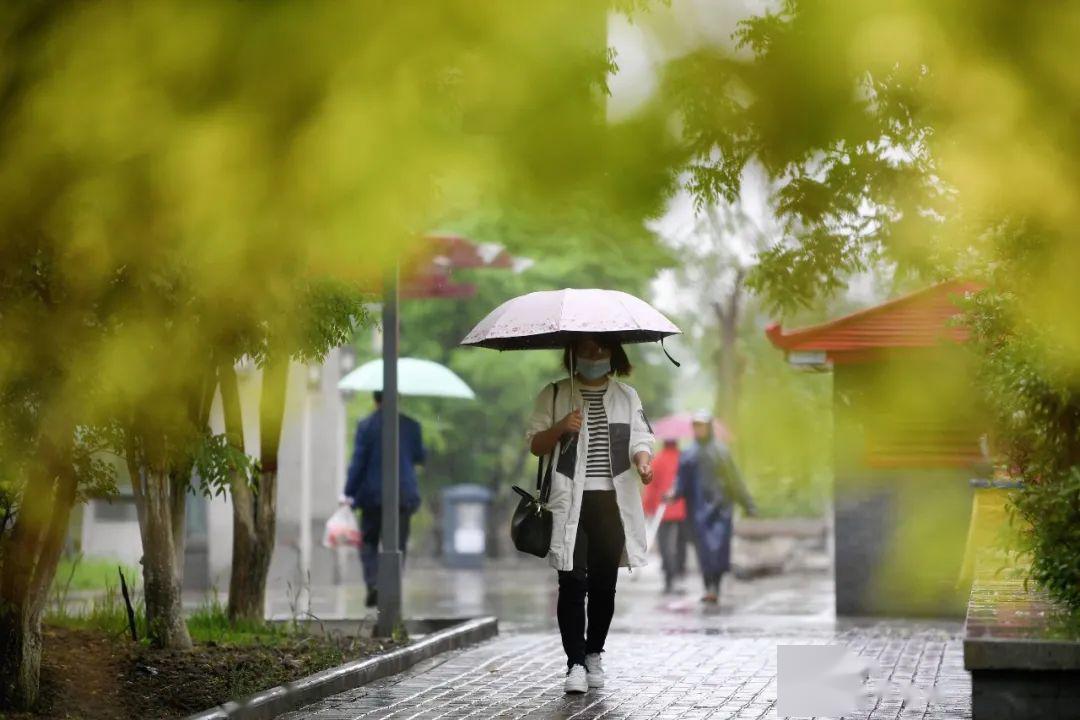 雨别做美梦了假期已结束意思是让你醒醒把不少人都pia在了雨里一场