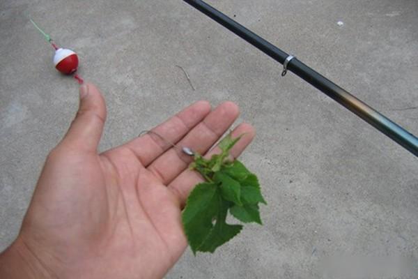 夏钓草鱼,试试这几种钓浮方法,找准鱼层,渔获猛增几倍!