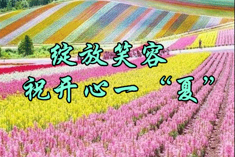 早上好一首夏天的思念送给你愿你幸福一夏