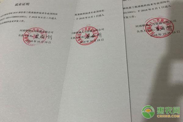 农村|这20种证明,以后不用再找村委会开了