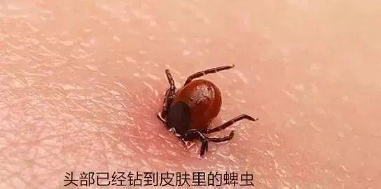 a41444e8bb7f47f1be6c6157b80f6772.jpeg