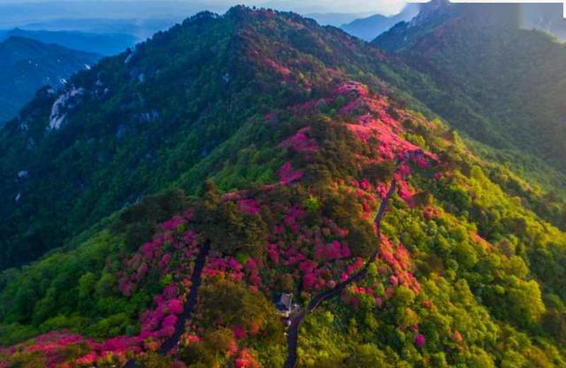 2020年五一湖北省旅_湖北省旅游学校2020年招生简章