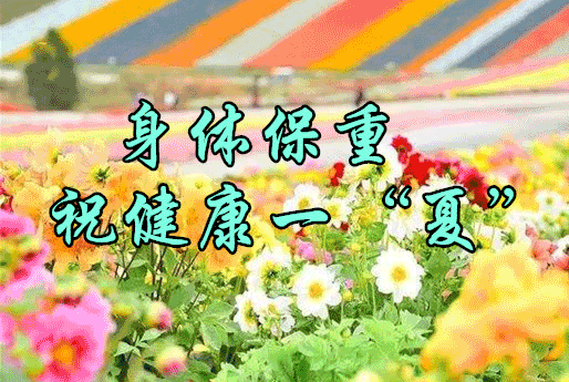 早上好一首夏天的思念送给你愿你幸福一夏