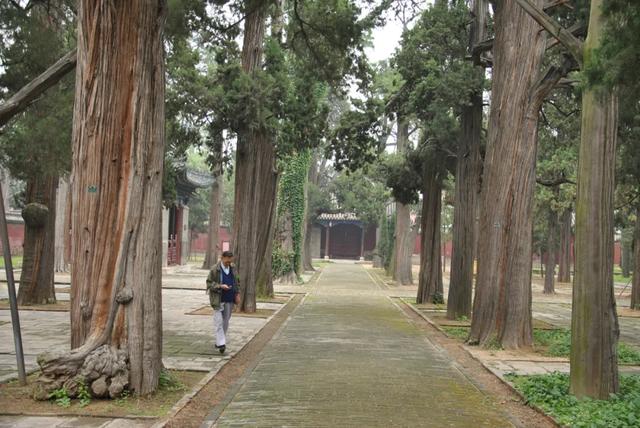 邹城多少人口_济宁市各区县 邹城市人口最多GDP第一,微山县面积最大(3)