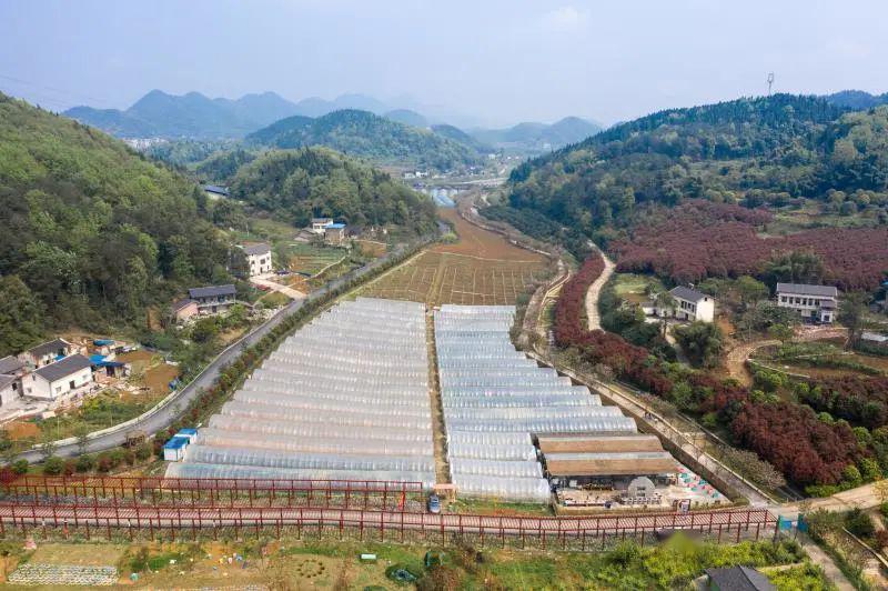 主城宝藏地│假期正好去玩上一整天_玉峰山