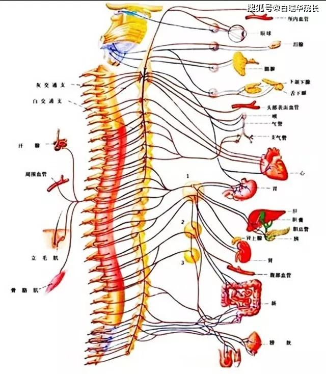 b9bc65e638af466380ee81f49a1cccff.JPG