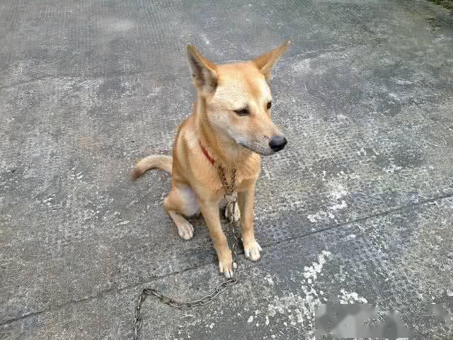 bbb5556efb484694a1a5f85e72520ead.jpeg