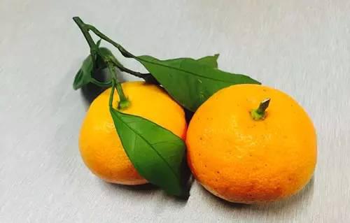 哪些水果是中草药 be7d596c0bfd4199a3cdab3b1847ef6b.jpeg