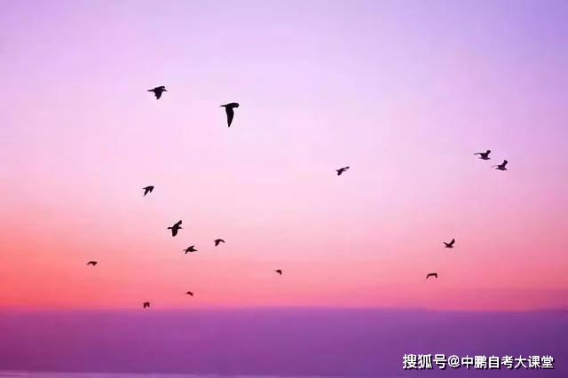 c0ef2790acdf436590af0a0f0a05ef24.jpeg