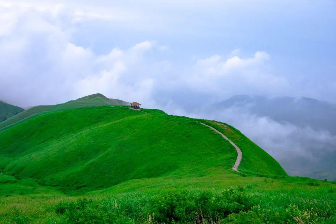 【美景如画】绿树浓郁,草甸转绿,武功山最美好的季节要来了!