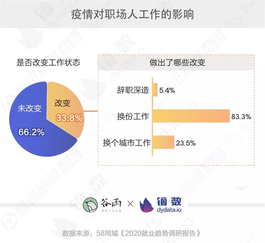 北漂青年突然决定撤离，宠物和梦想都挂上闲鱼