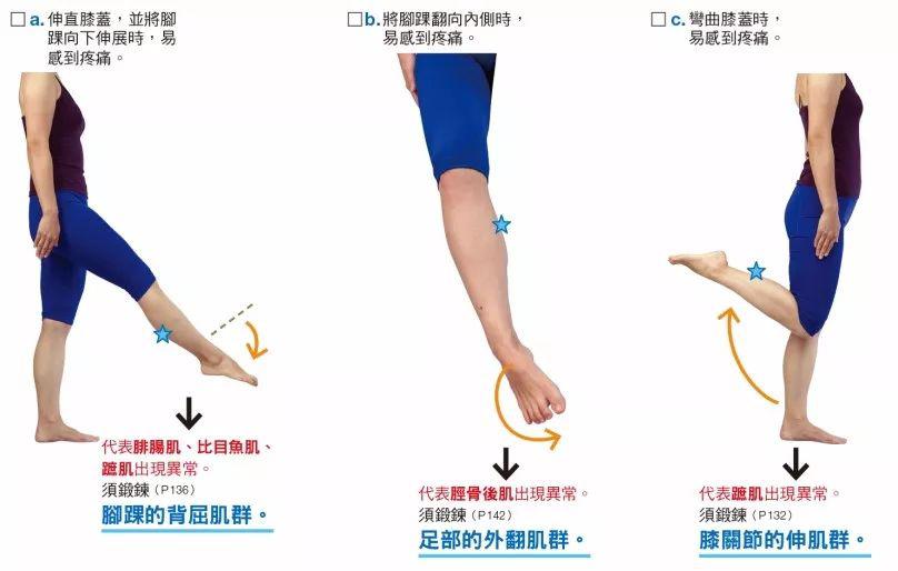 负责收缩的肌肉位置 出现小腿后面疼痛状况者,代表