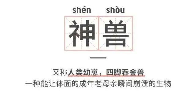 今天神兽终于归笼了激动之余这些事情不能忘