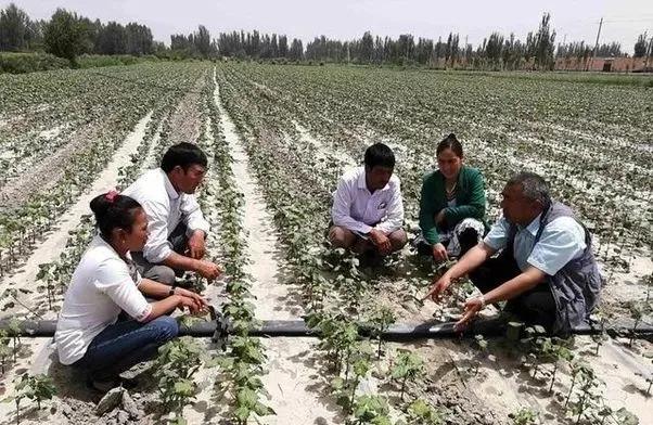 美国天价医疗费,印度饥荒肆虐,叙利亚战乱再起