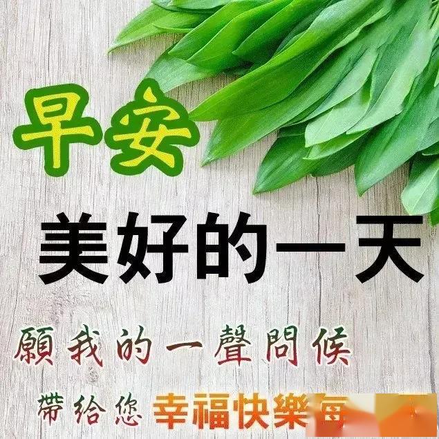 高清祝福早安心语图片带字,2020早上好最美图片