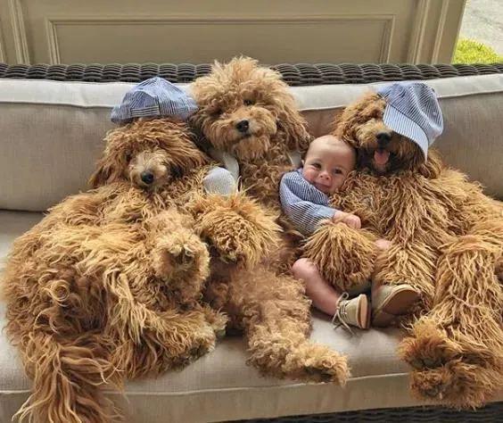 「自带」这个宝宝简直人生赢家！一出生就有三个真实版的抱抱熊陪伴
