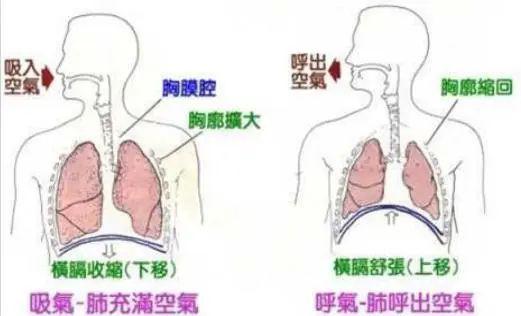 播音主持之腹部发声练习方法