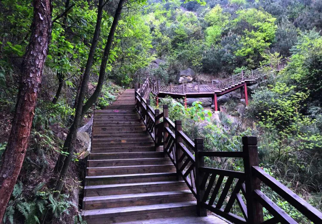 玉峰山龙门步道 却可以从山脚一直走到山顶 行走期间,洗心涤肺,忘却