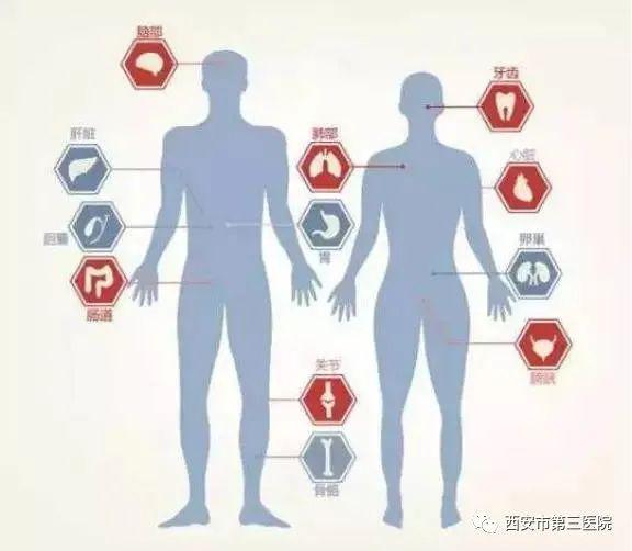 医说肿瘤人体最易受癌侵袭的11个器官