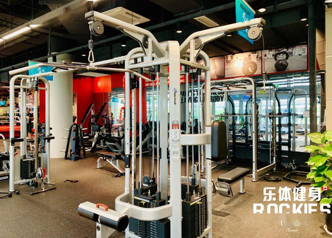 极致的运动体验整齐划一的运动器材带给您极佳的运动体验life fitness