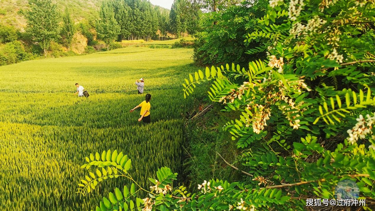 原创立夏之后的河南农村这样的景色比景区还美乡村旅游正是时候