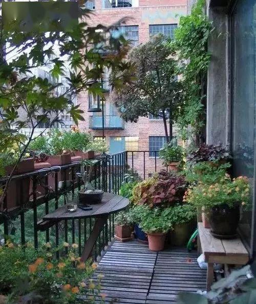 阳台不仅是晒衣服的好地方,更应该是一个小花园,喝喝茶发发呆!