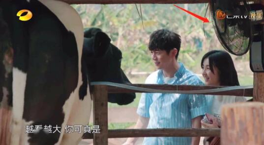 蘑菇屋第一季最后一期 fe7be7f173f441a09ee2985c34720dbb.jpeg