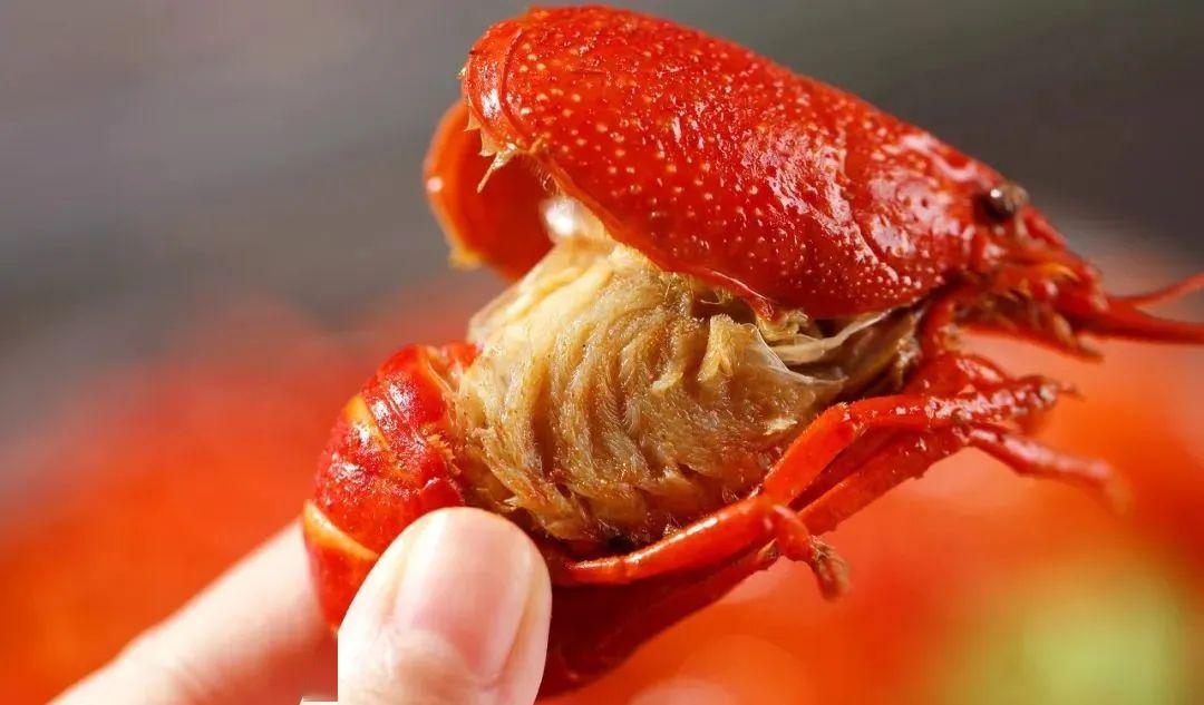 【科普知识】小龙虾的头,虾黄到底能不能吃?赶紧告诉身边人.
