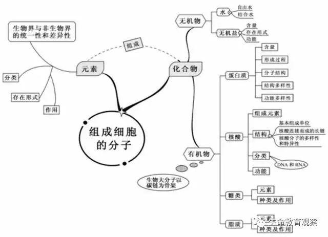 学霸整理!20张生物思维导图最全版本