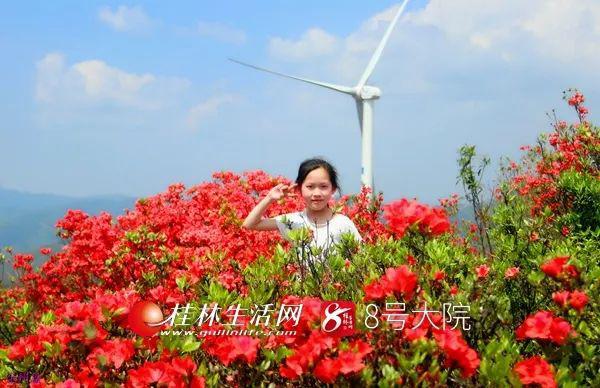 双牌瑶族人口_双牌二中图片(3)
