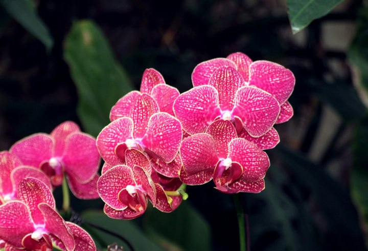 105c1c9e196548be9986650dd28a0a55.png