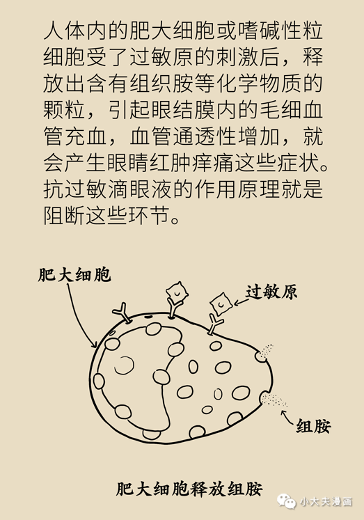 下眼皮红肿疼痛怎么办